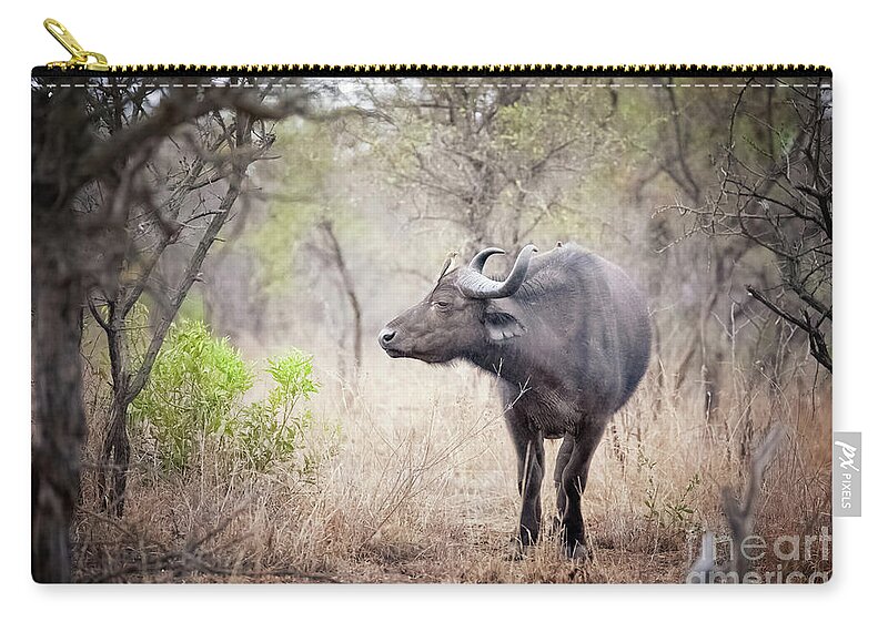 Buffalo Zip Pouch featuring the photograph Cape buffalo in a clearing by Jane Rix