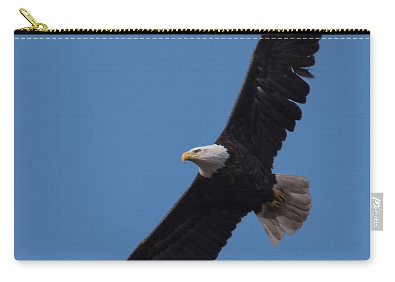America Zip Pouch featuring the photograph Captured in Flight by Michael Hall