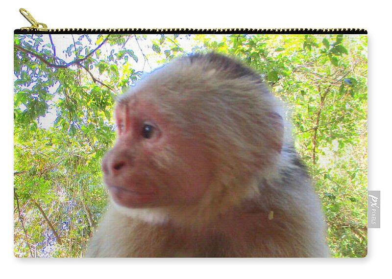 Capuchin Monkey Zip Pouch featuring the photograph Capuchin Monkey 2 by Randall Weidner