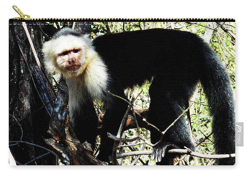  Costa Rico Zip Pouch featuring the photograph Capuchin Monkeys 19 by Ron Kandt