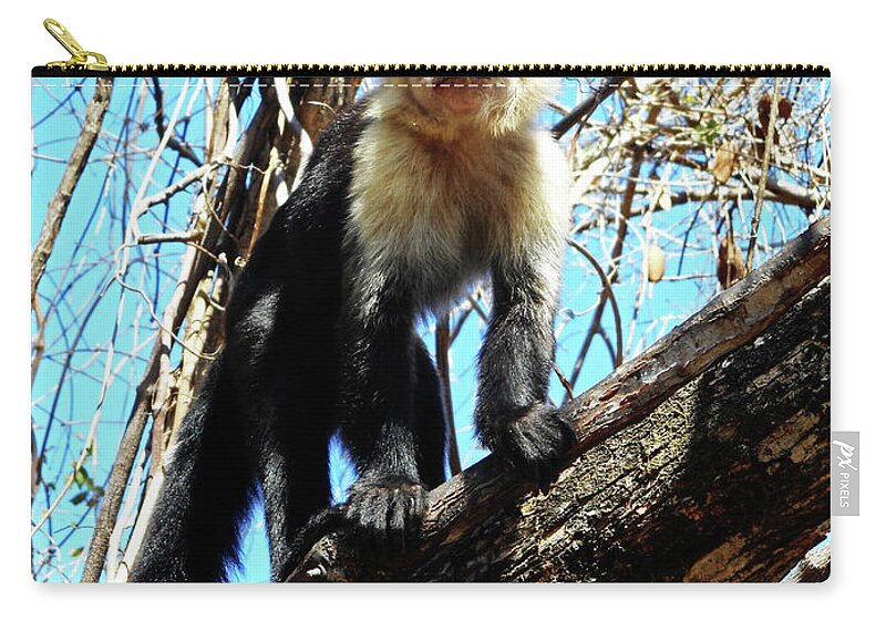  Costa Rico Zip Pouch featuring the photograph Capuchin Monkeys 21 by Ron Kandt