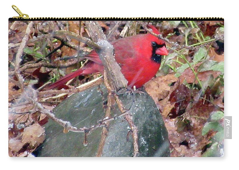Cardinal Zip Pouch featuring the photograph Cardinal in Snow by CAC Graphics