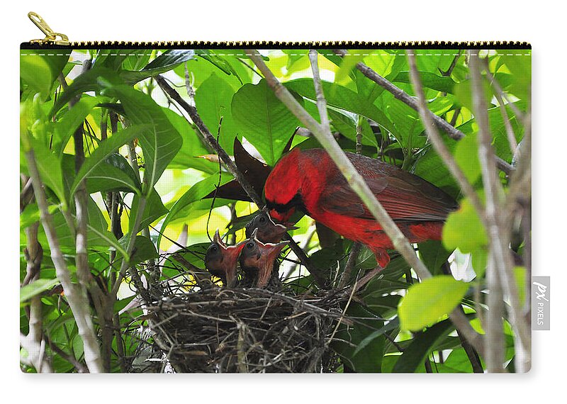 Cardinals Zip Pouch featuring the photograph Cardinals Chowtime by Al Powell Photography USA