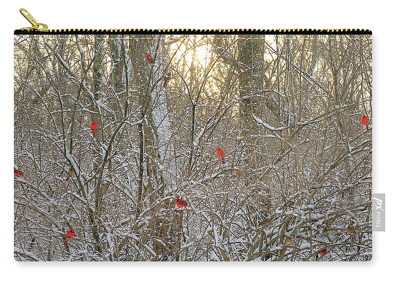 Cardinals In Gold Light Zip Pouch featuring the photograph Cardinals in Gold Light by PJQandFriends Photography