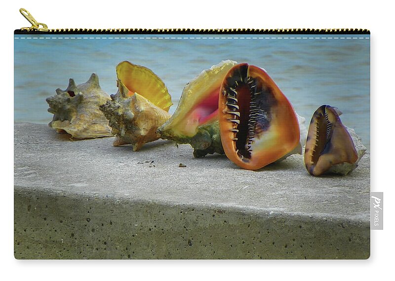 Conch Shells Zip Pouch featuring the photograph Caribbean Charisma by Karen Wiles