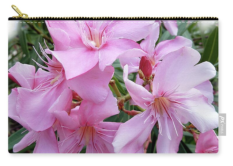 Pink Zip Pouch featuring the photograph Caribbean Oleander by Marie Hicks