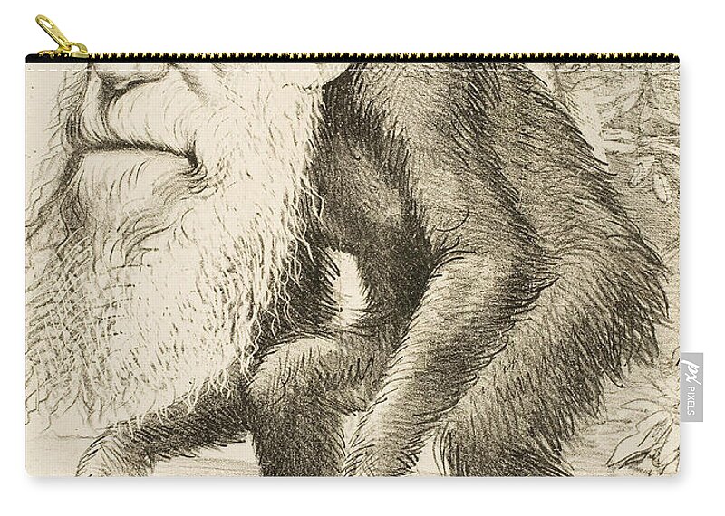 Darwin Zip Pouch featuring the painting Caricature of Charles Darwin by English School
