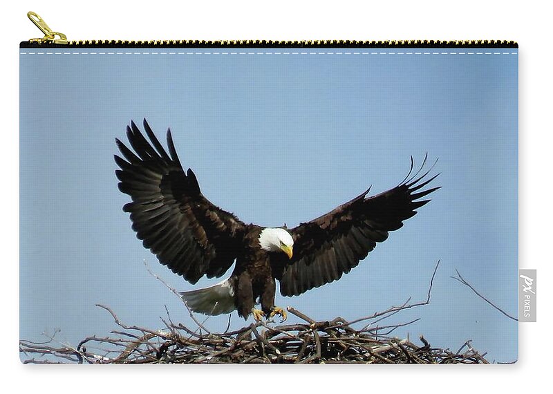 1000 Islands Zip Pouch featuring the photograph Cape Vincent Eagle by Dennis McCarthy