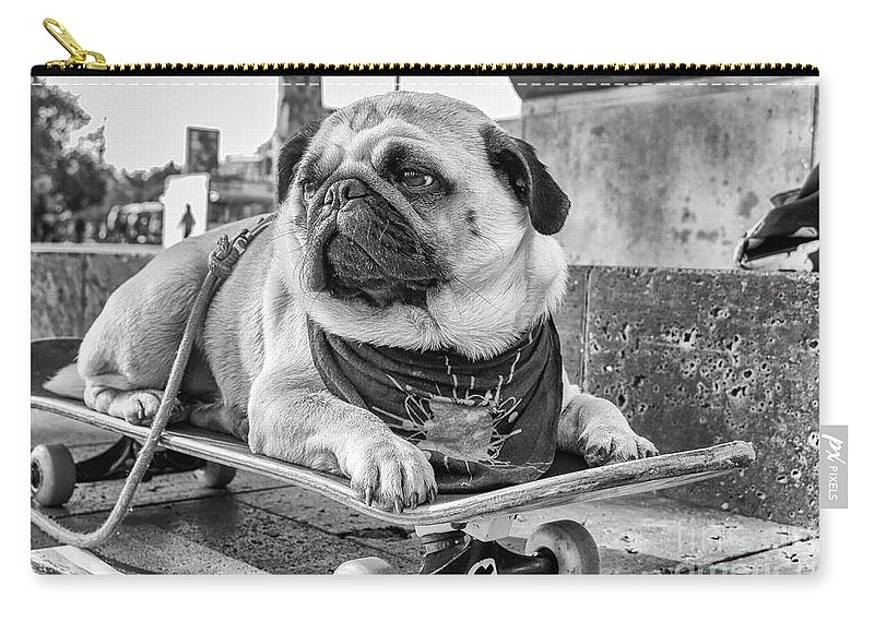 Pug Carry-all Pouch featuring the photograph Carlos de Barcelona by Becqi Sherman