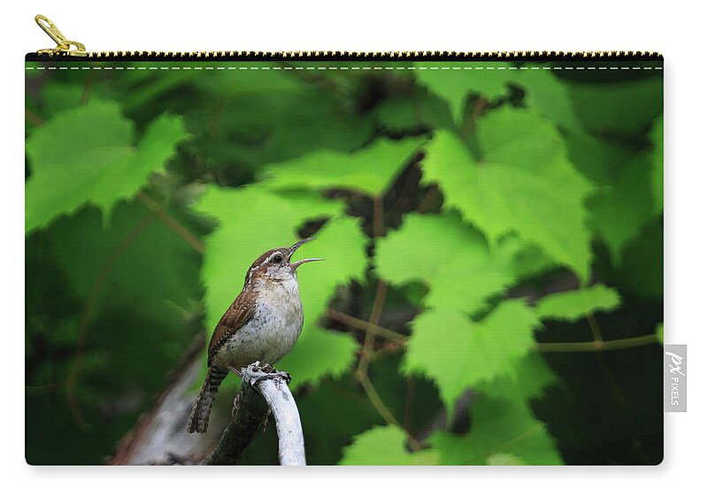 Gary Hall Zip Pouch featuring the photograph Carolina Wren by Gary Hall