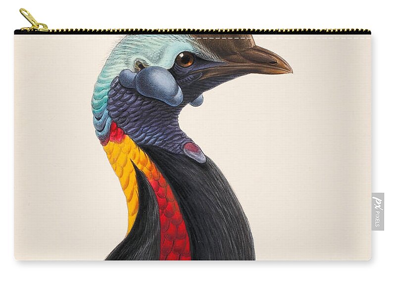 John Gerrard Keulemans Zip Pouch featuring the drawing Casuarius unappendiculatus philipi by John Gerrard Keulemans