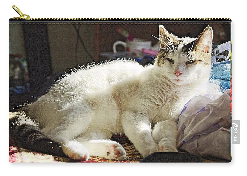 Cats Zip Pouch featuring the photograph Cat 4 by Karl Rose