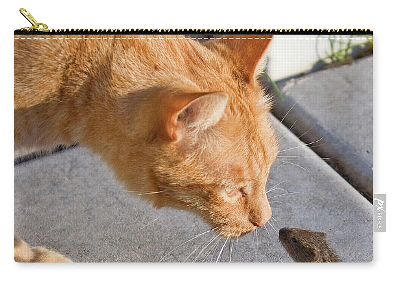 Cat Zip Pouch featuring the photograph Cat and Mouse by Wesley Aston