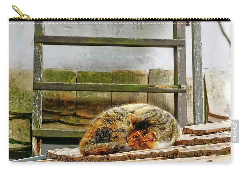 Sleeping Cat Zip Pouch featuring the photograph Cat Asleep On A Roof In Szentendre, Hungary by Rick Rosenshein