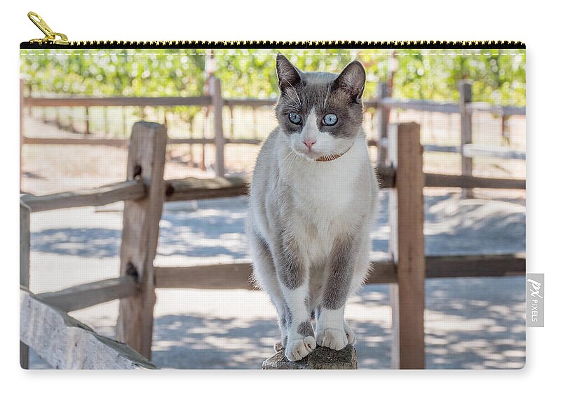Cat Carry-all Pouch featuring the photograph Cat on a Wooden Fence Post by Derek Dean
