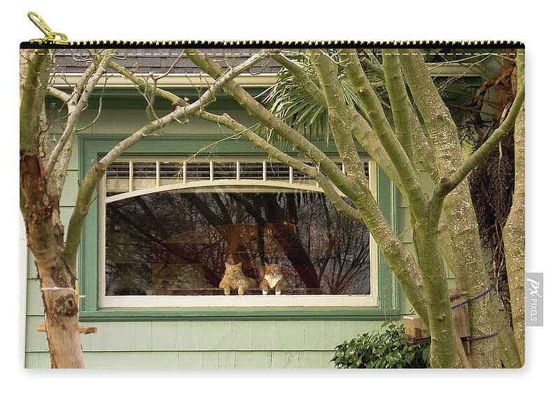 Cat Pals Zip Pouch featuring the photograph Cat Pals Waiting by Frank DiMarco
