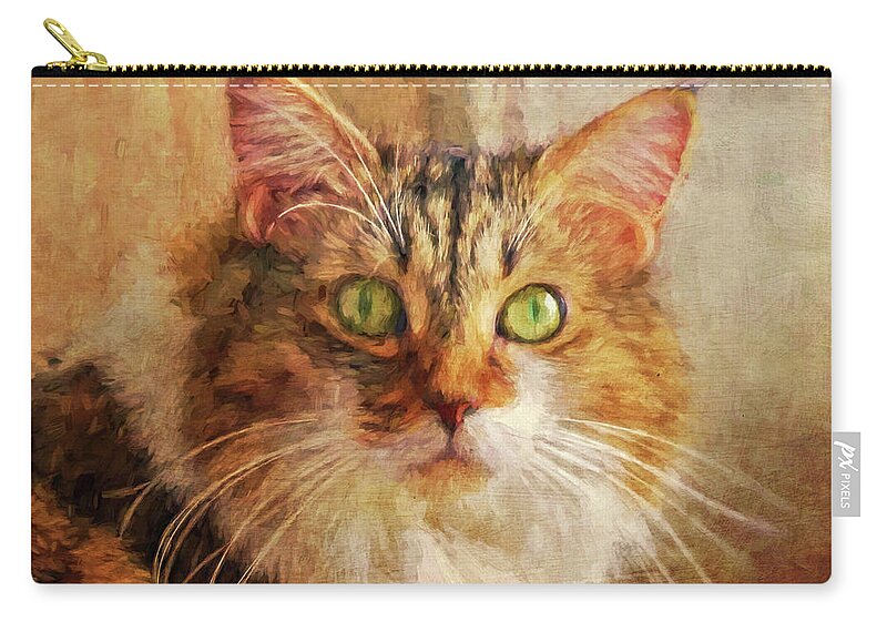 Cat Zip Pouch featuring the photograph Cat Portrait - Pretty Girl by HH Photography of Florida