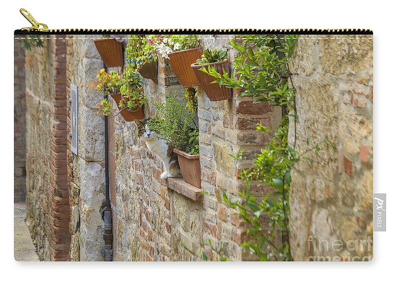 Cat Zip Pouch featuring the photograph Cat sitting on window sill in medieval Italian street by Patricia Hofmeester