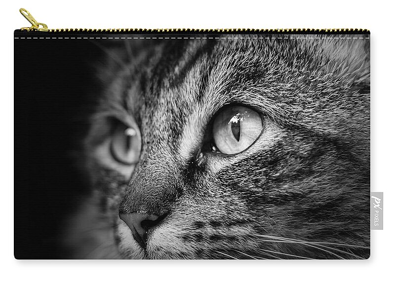Cat Zip Pouch featuring the photograph Cat Stare BW by Rick Deacon