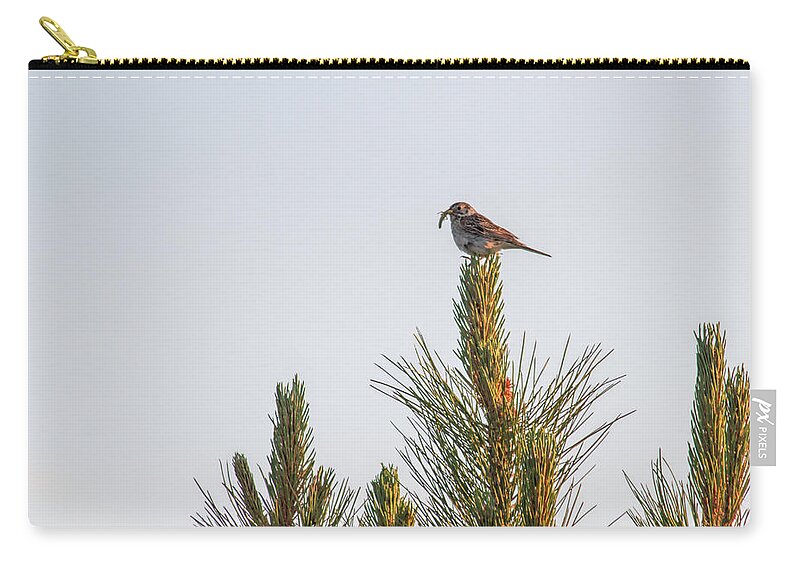 Avian Zip Pouch featuring the photograph Catch of the Day by Alana Thrower