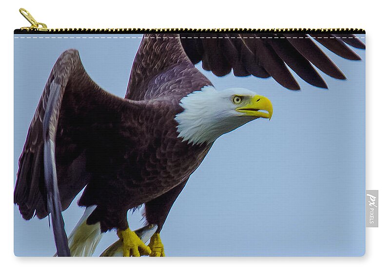 11nov15 Zip Pouch featuring the photograph Catch of the Day by Jeff at JSJ Photography