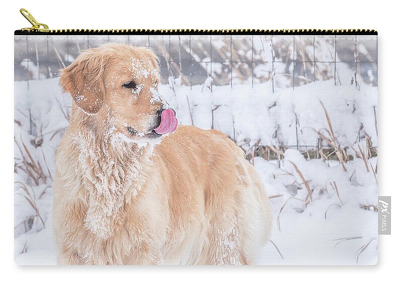 Golden Retriever Zip Pouch featuring the photograph Catching Snowflakes by Jennifer Grossnickle