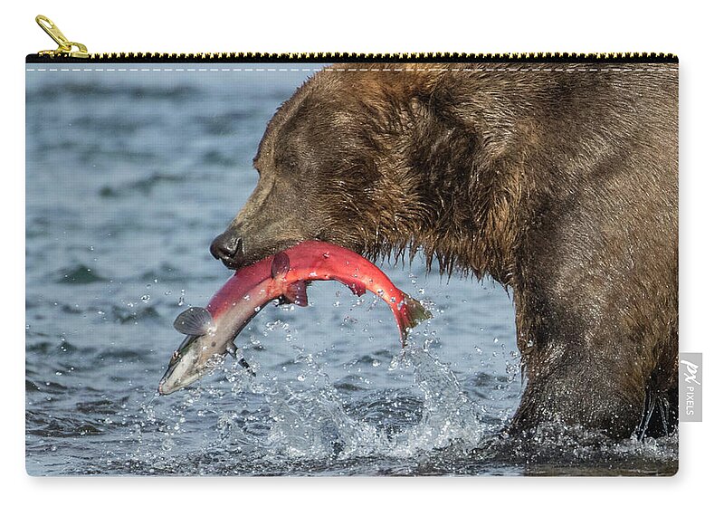 Alaska Zip Pouch featuring the photograph Catching the Prize by Cheryl Strahl