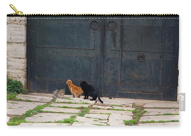 Cats Zip Pouch featuring the photograph Cats by Takaaki Yoshikawa