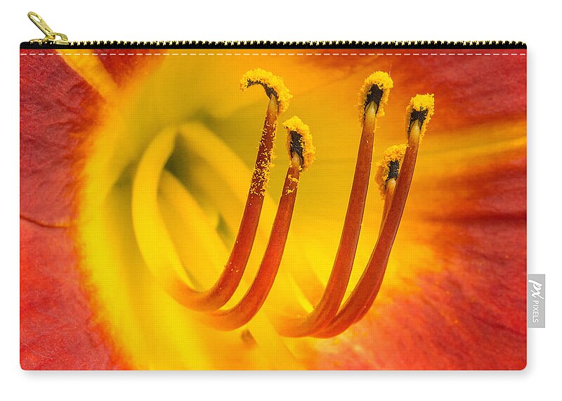 Daylily Zip Pouch featuring the photograph center of a Daylily by Jim Hughes