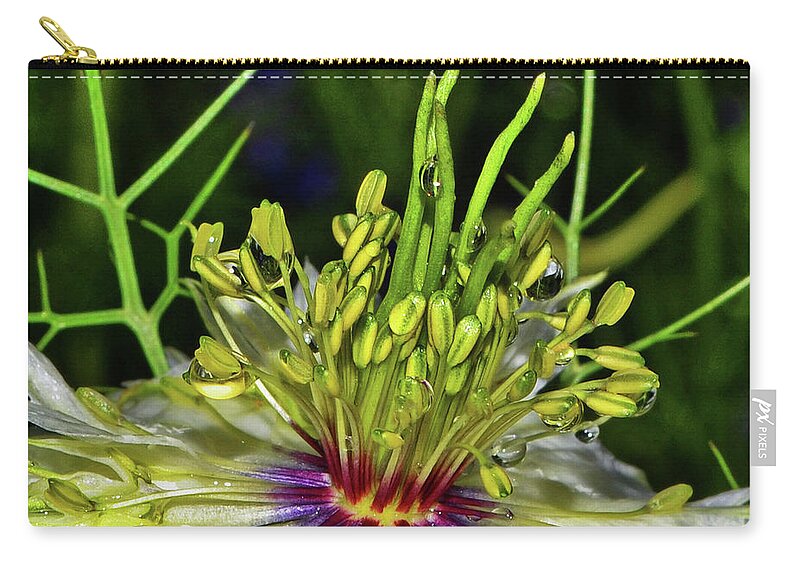 Macro Zip Pouch featuring the photograph Centerpiece - Love In The Mist Macro by George Bostian