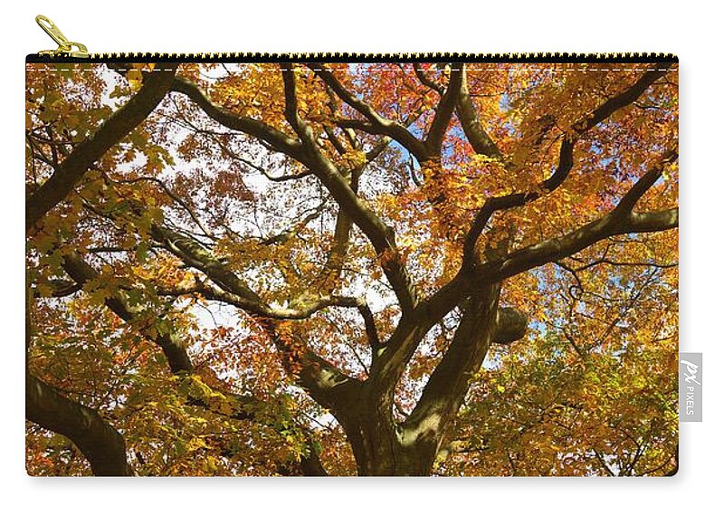 Oak Zip Pouch featuring the photograph Changing Of The Oak by David Birchall