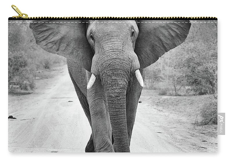 African Elephant Zip Pouch featuring the photograph Charging Bull Elephant by Max Waugh