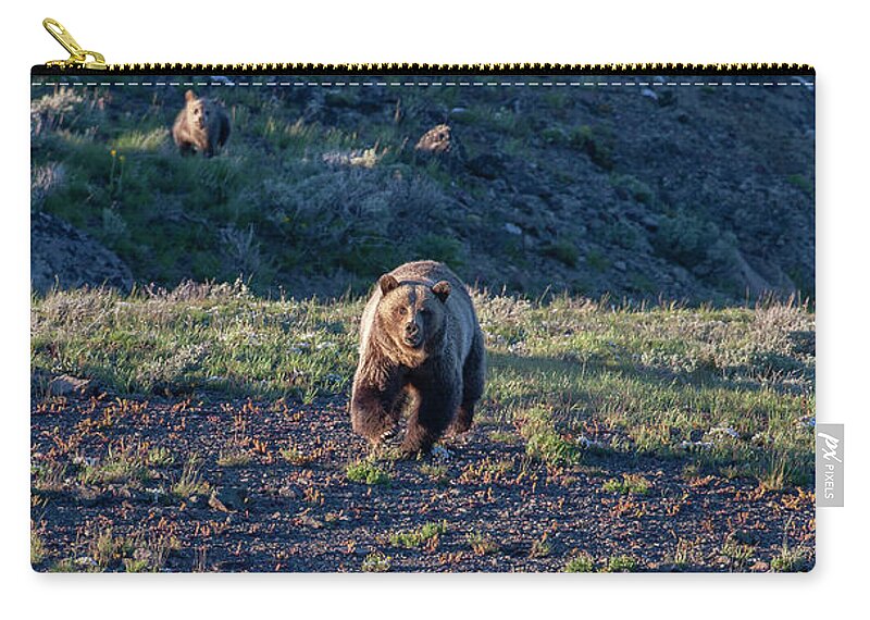 Grizzly Bear Carry-all Pouch featuring the photograph Charging Grizzly by Mark Miller