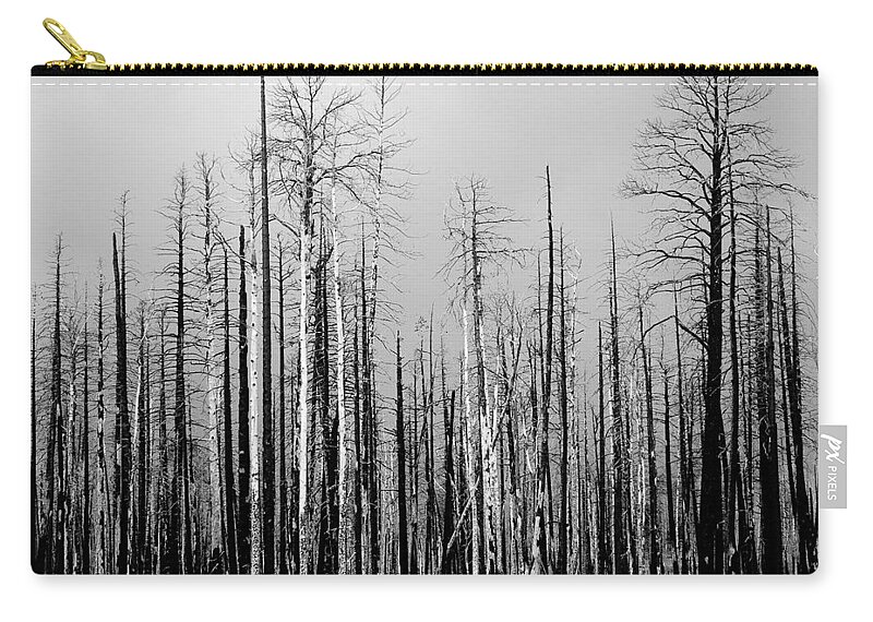 Charred Zip Pouch featuring the photograph Charred Trees by James BO Insogna
