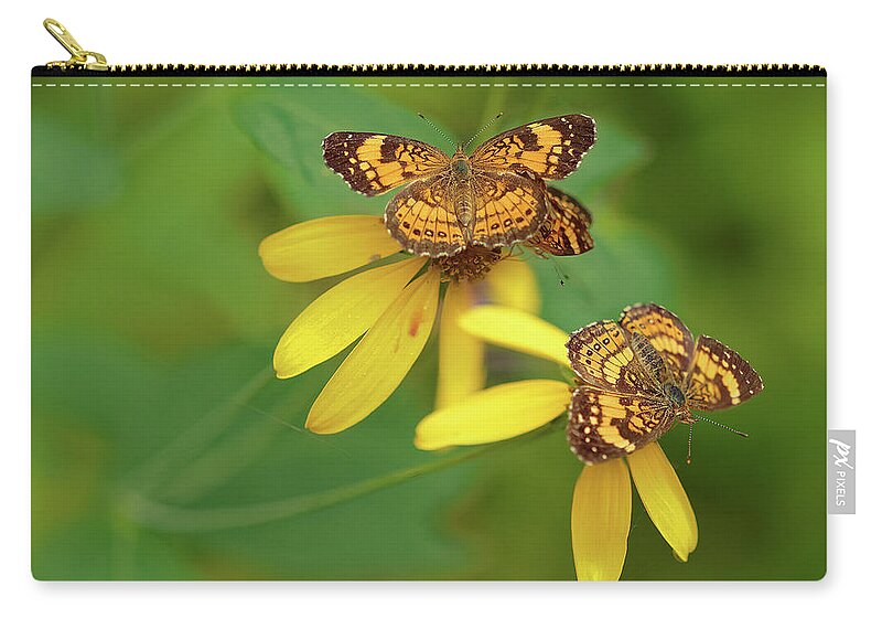 Butterflies Zip Pouch featuring the photograph Checkerspot butterflies by Robert Charity