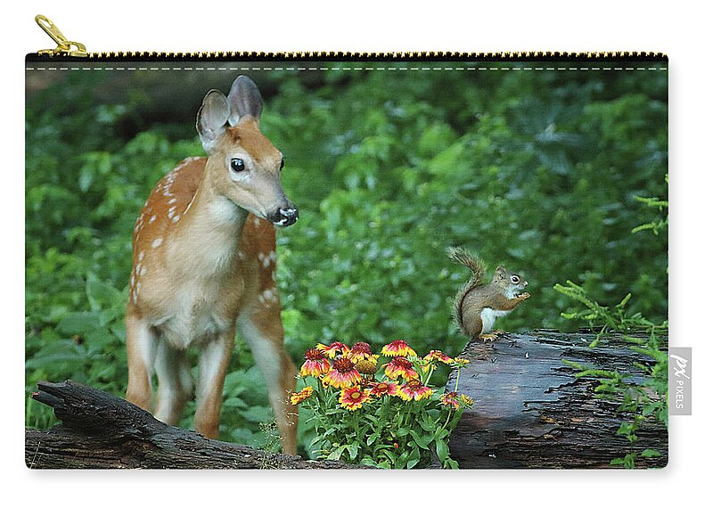 Deer Zip Pouch featuring the photograph Checking Out the Squirrel by Duane Cross