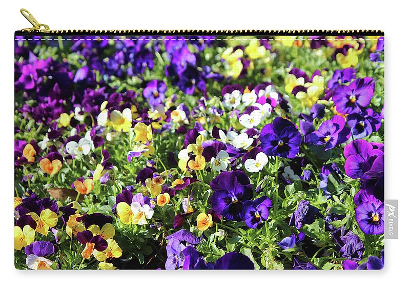 Pansies Zip Pouch featuring the photograph Cheerful Pansies by Cynthia Guinn