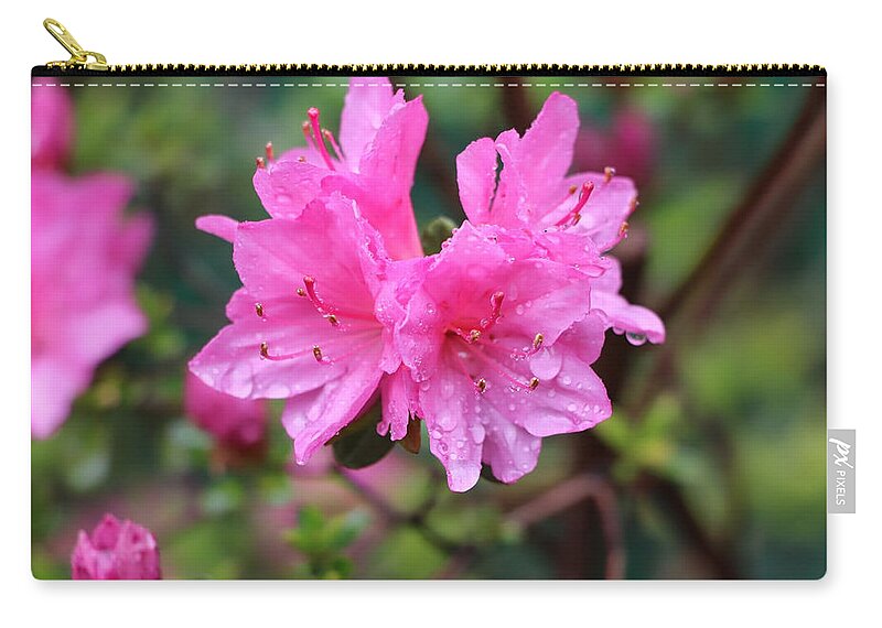 Floral Zip Pouch featuring the photograph Cheerful Rain by DiDesigns Graphics