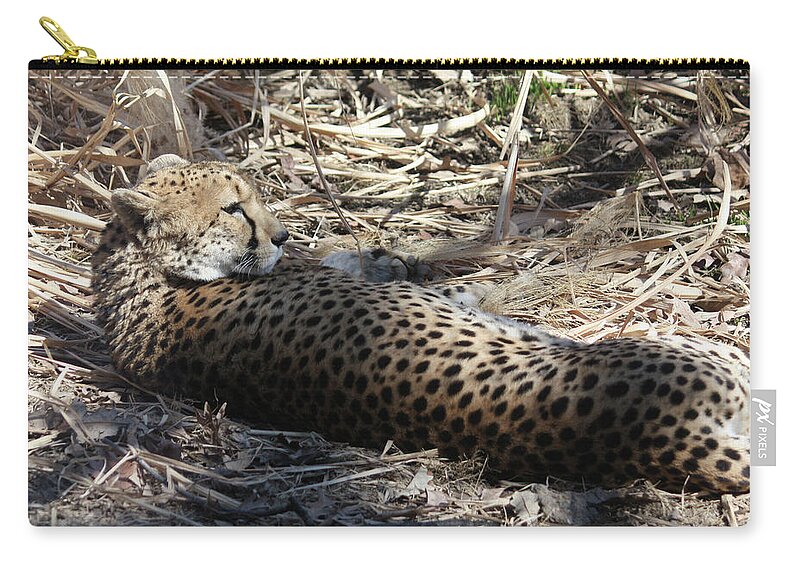Maryland Zip Pouch featuring the photograph Cheetah Awakened by Ronald Reid