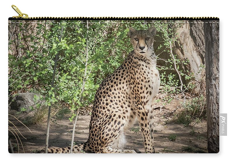 Cheetah Zip Pouch featuring the photograph Cheetah by Mary Lee Dereske
