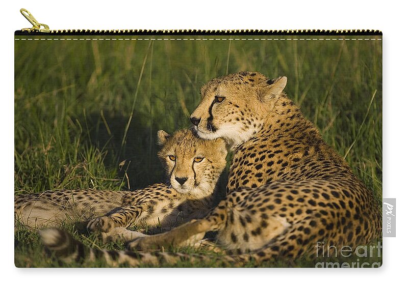 00761675 Zip Pouch featuring the photograph Cheetah Mother and Cub by Suzi Eszterhas