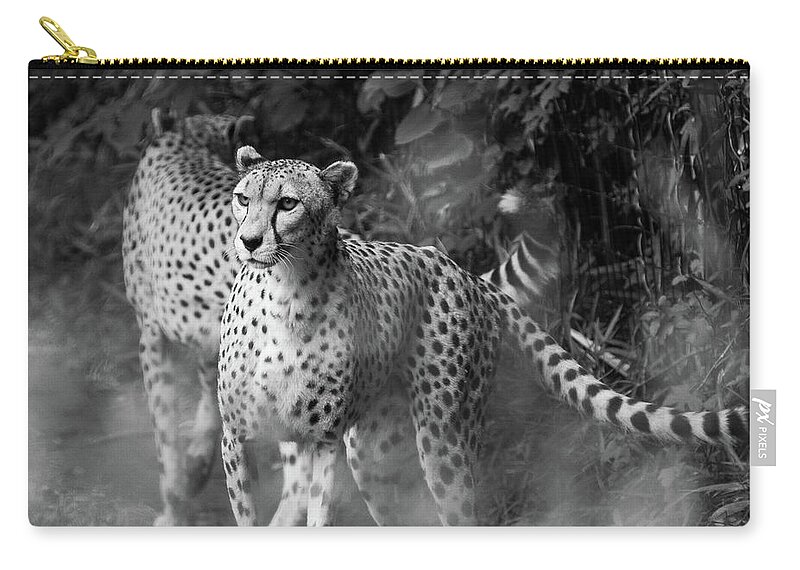 Cheetah Zip Pouch featuring the photograph Cheetah Pair by SR Green