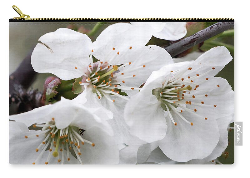Cherry Blossom Zip Pouch featuring the photograph Cherry Blosoms by Nick Mares