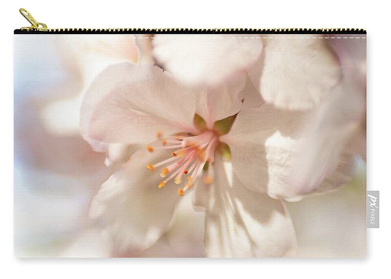 Flower Zip Pouch featuring the photograph Cherry Blossom 2 by Pamela Taylor