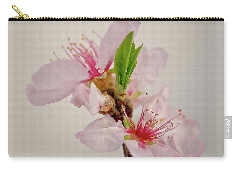 Cherry Zip Pouch featuring the photograph Cherry blossom III by Elena Perelman