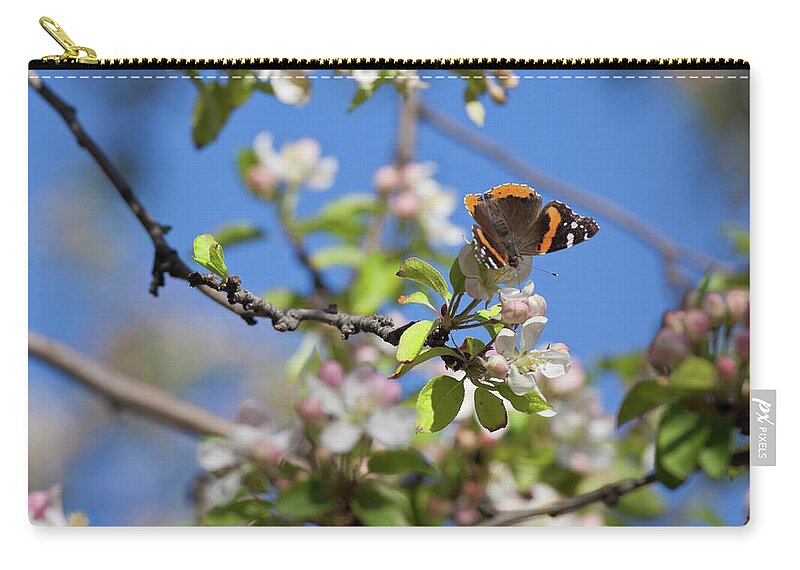 Butterfly Carry-all Pouch featuring the photograph Monarch Butterfly on Cherry Tree by Tatiana Travelways