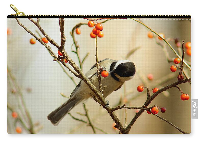 Animal Zip Pouch featuring the photograph Chickadee 1 Of 2 by Robert Frederick