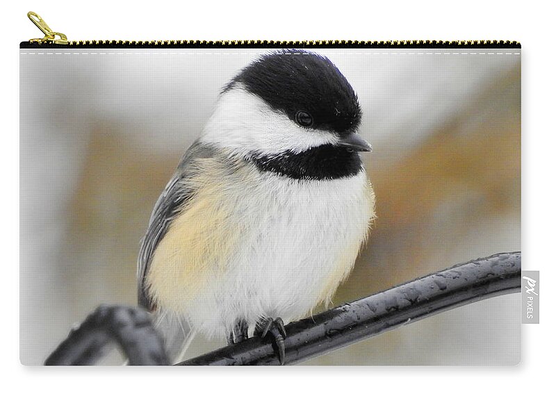 Chickadee Zip Pouch featuring the photograph Chickadee by Betty-Anne McDonald
