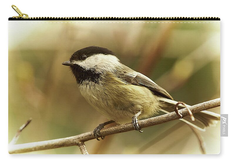 Bird Carry-all Pouch featuring the photograph Chickadee by Loni Collins