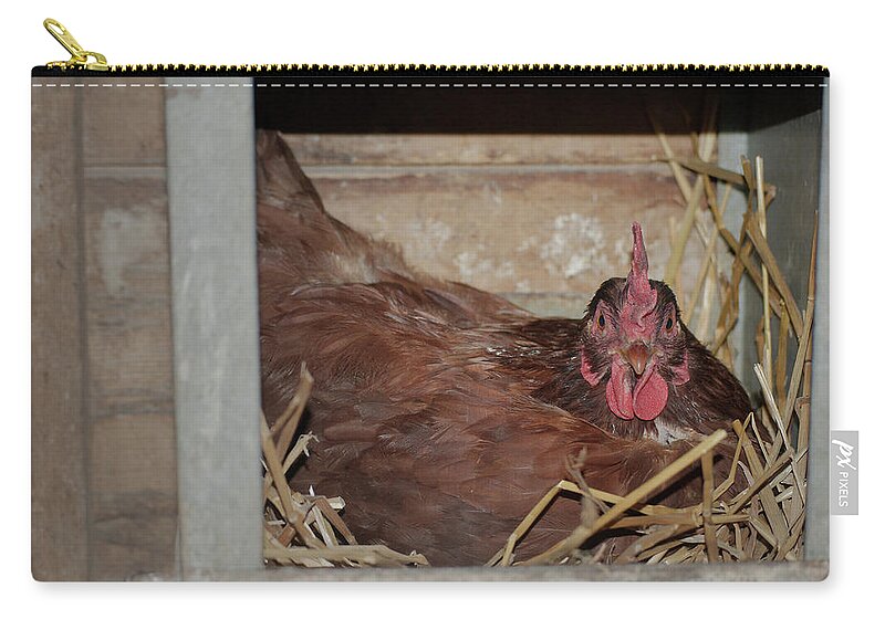 Chicken Carry-all Pouch featuring the photograph Chicken Box by Troy Stapek